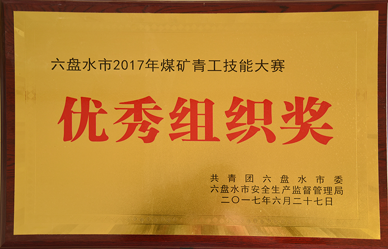201706 六盘水市2017年煤矿青工技能大赛优秀组织奖.JPG